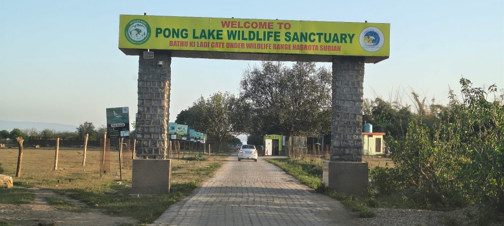 Pong Dam: Best Places to Visit & Travel Guide