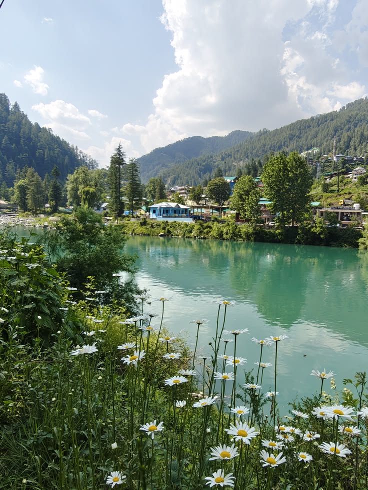 Barot Valley, Himachal Pradesh: Places to Visit & Things to Do